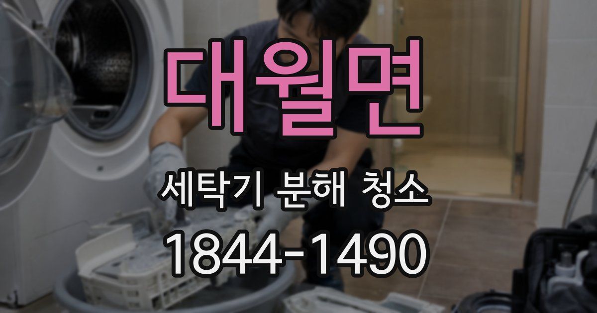 대월면 세탁기 분해 청소