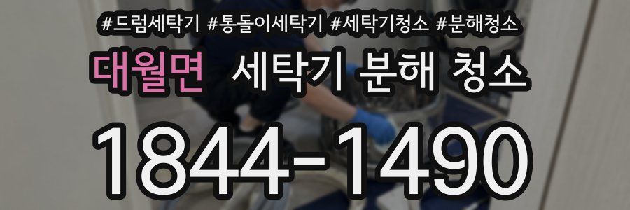 대월면 세탁기 분해 청소