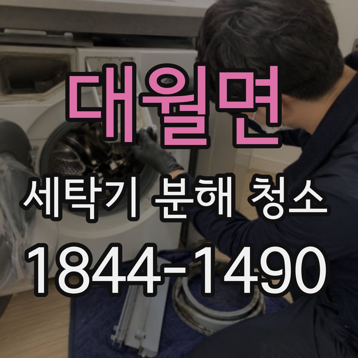 대월면 세탁기 분해 청소
