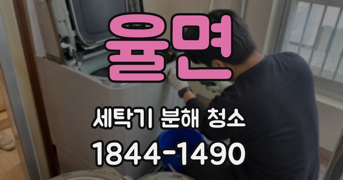 율면 세탁기 분해 청소