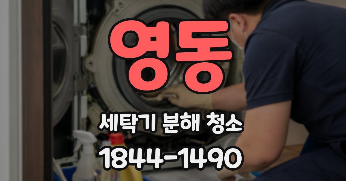 영동 세탁기 분해 청소