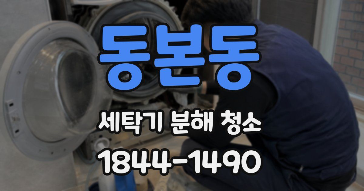 동본동 세탁기 분해 청소