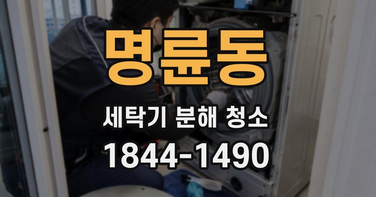 명륜동 세탁기 분해 청소