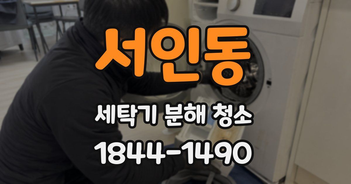 서인동 세탁기 분해 청소