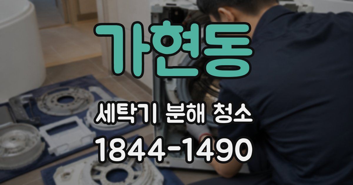 가현동 세탁기 분해 청소