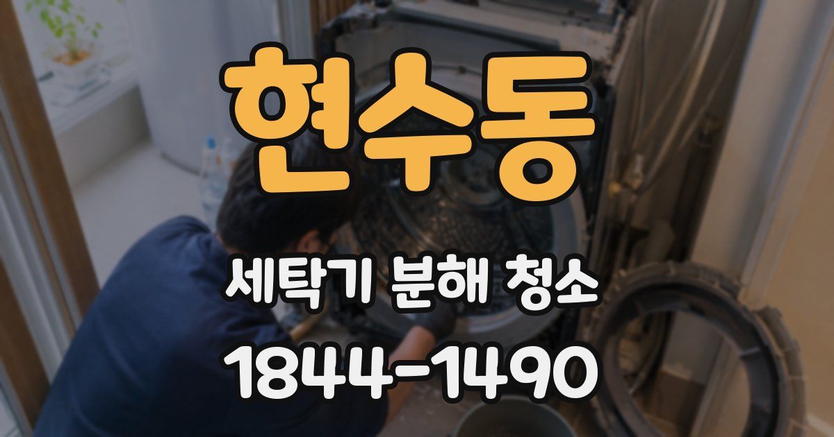 현수동 세탁기 분해 청소