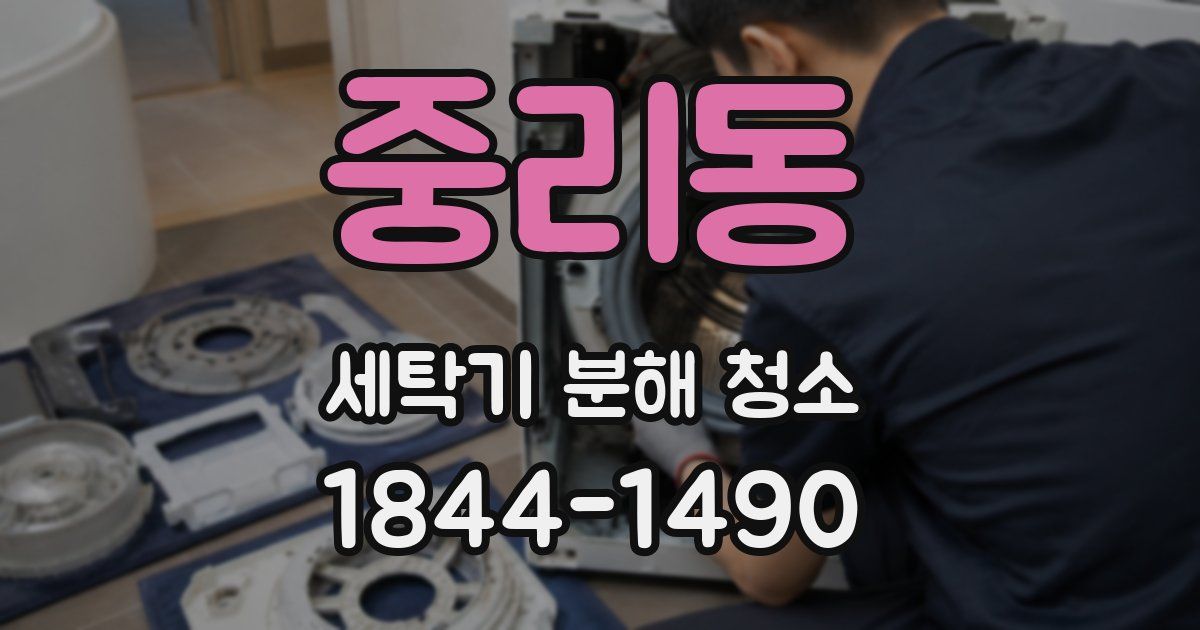 중리동 세탁기 분해 청소
