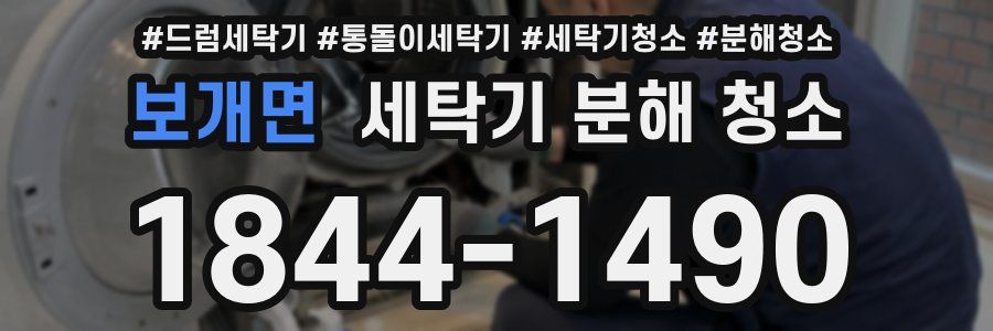 보개면 세탁기 분해 청소