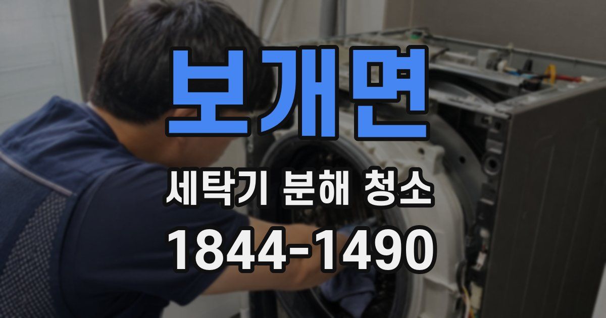 보개면 세탁기 분해 청소