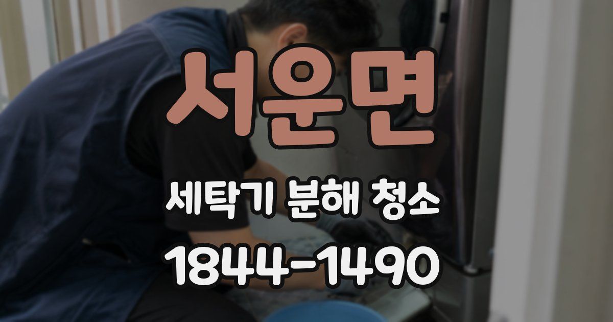 서운면 세탁기 분해 청소