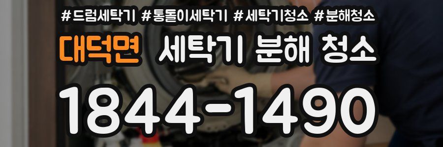 대덕면 세탁기 분해 청소