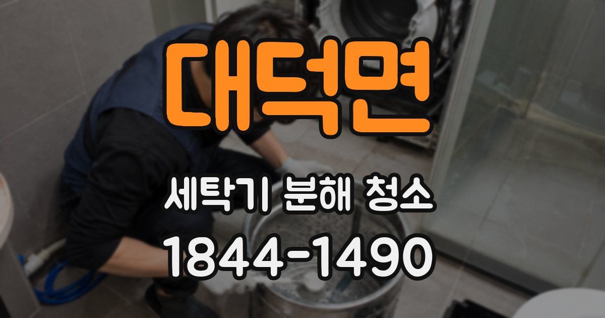 대덕면 세탁기 분해 청소