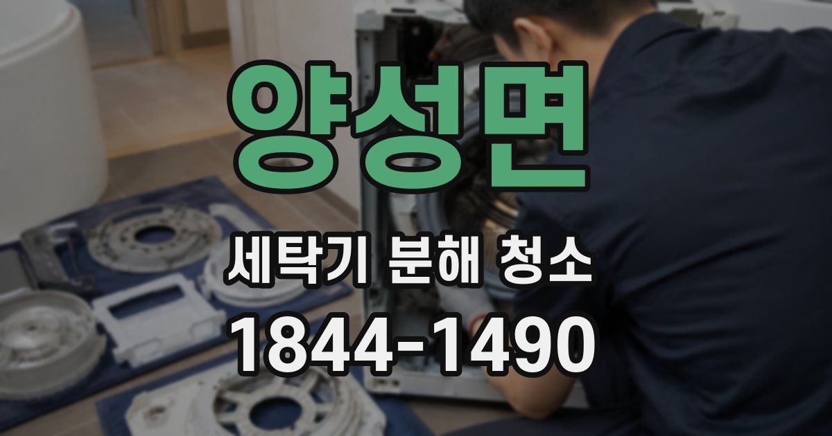 양성면 세탁기 분해 청소