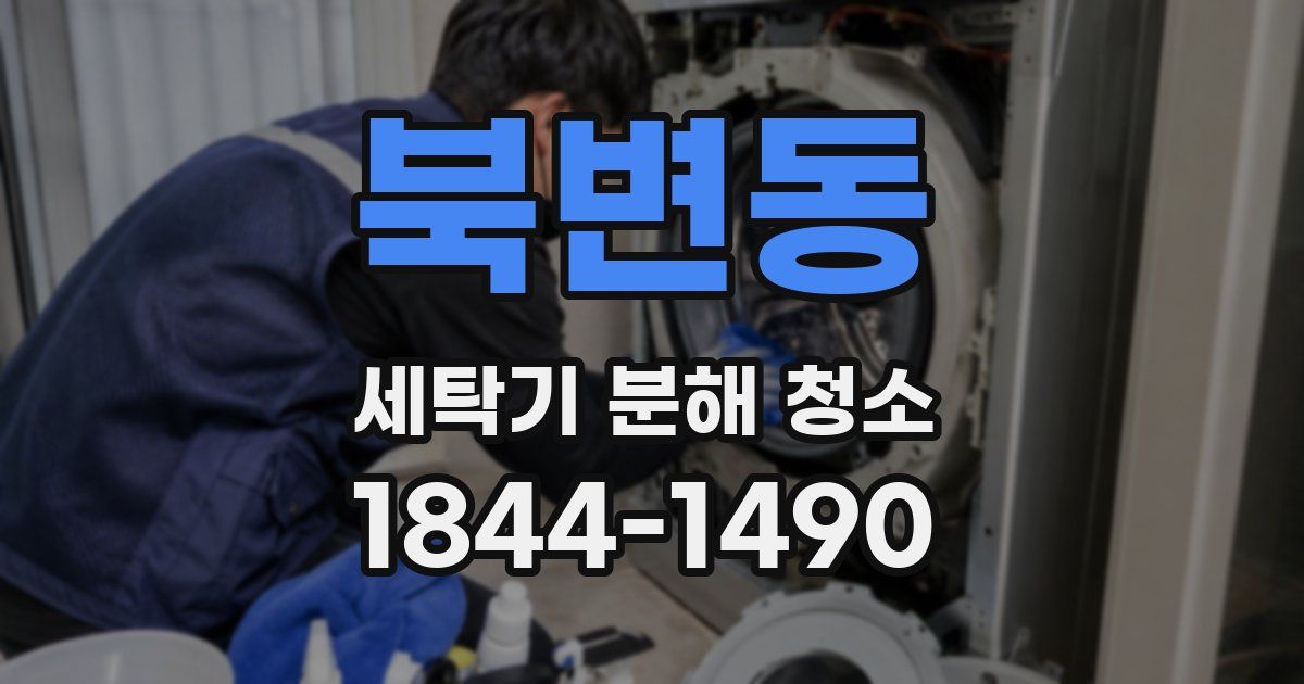 북변동 세탁기 분해 청소