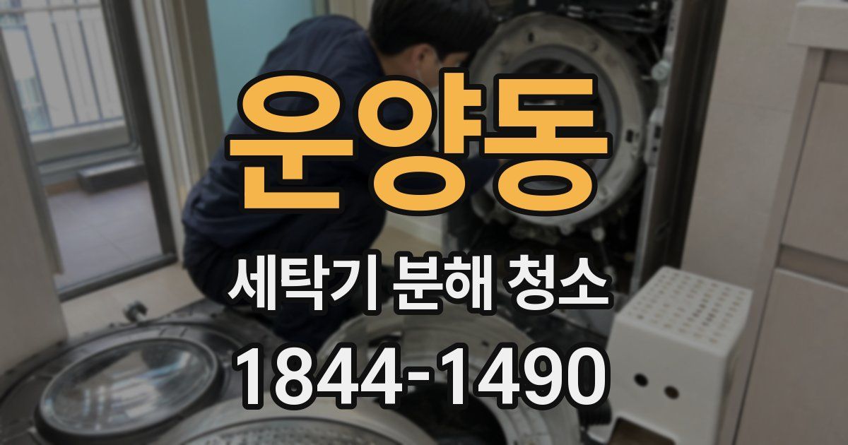 운양동 세탁기 분해 청소