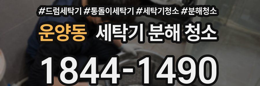 운양동 세탁기 분해 청소