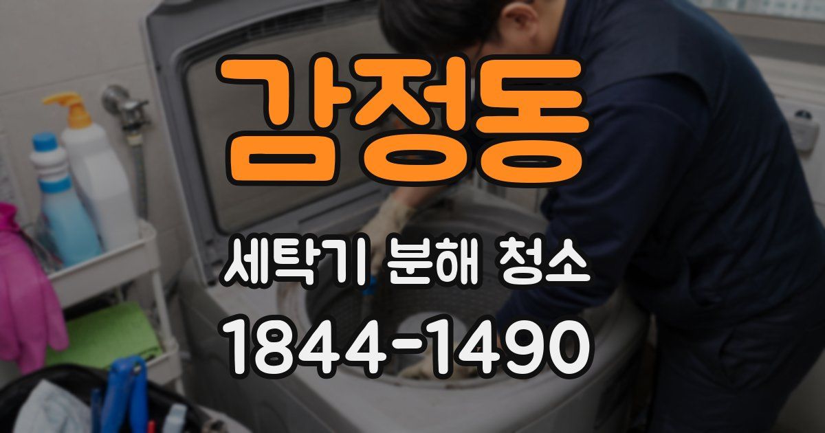 감정동 세탁기 분해 청소