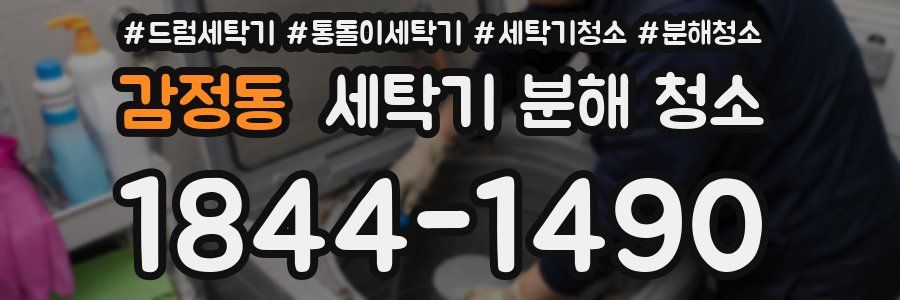 감정동 세탁기 분해 청소