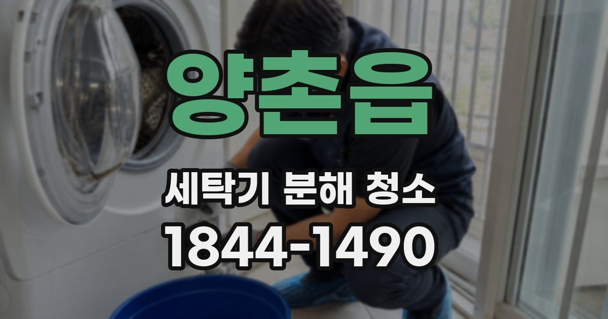 양촌읍 세탁기 분해 청소