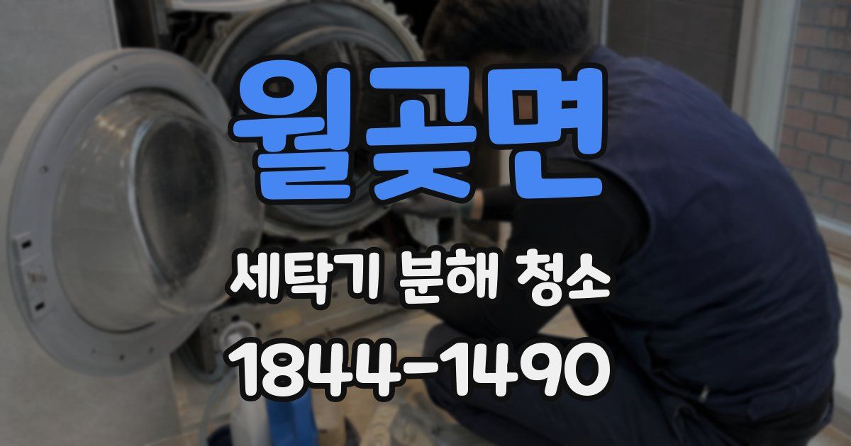 월곶면 세탁기 분해 청소