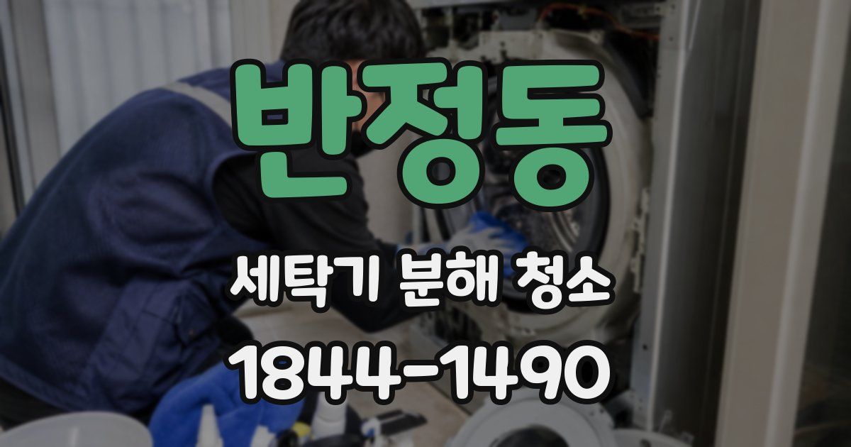 반정동 세탁기 분해 청소