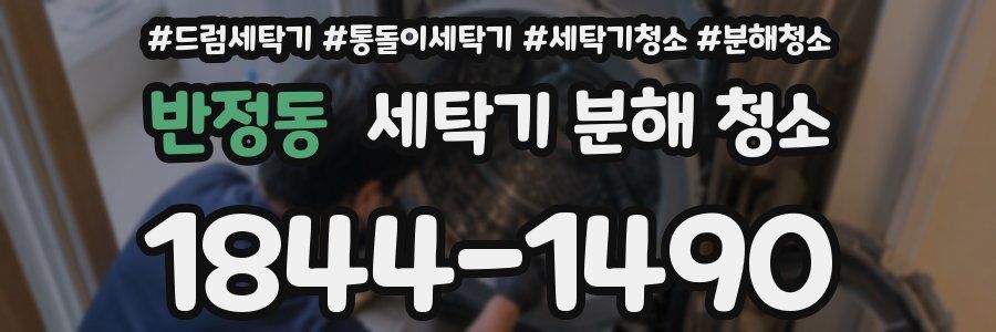 반정동 세탁기 분해 청소