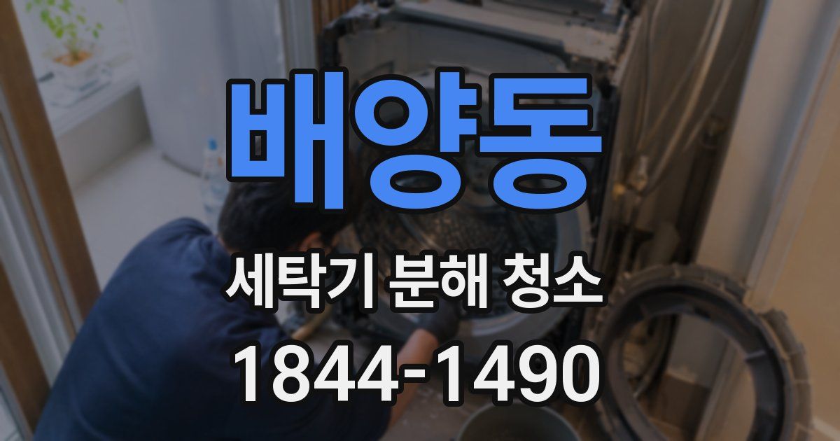 배양동 세탁기 분해 청소