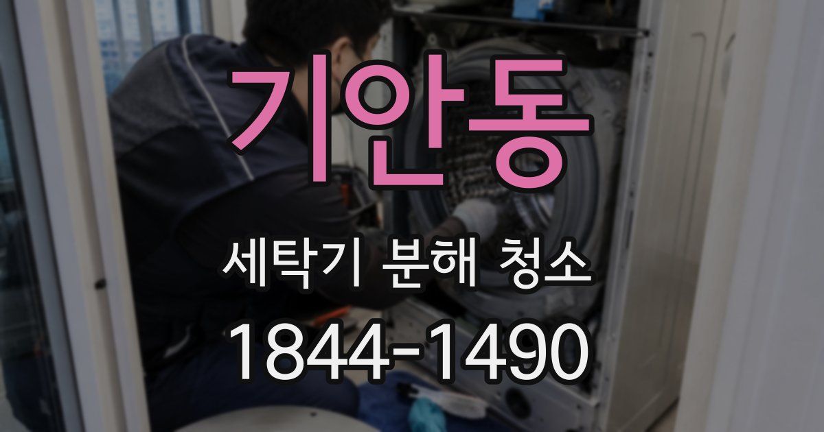 기안동 세탁기 분해 청소
