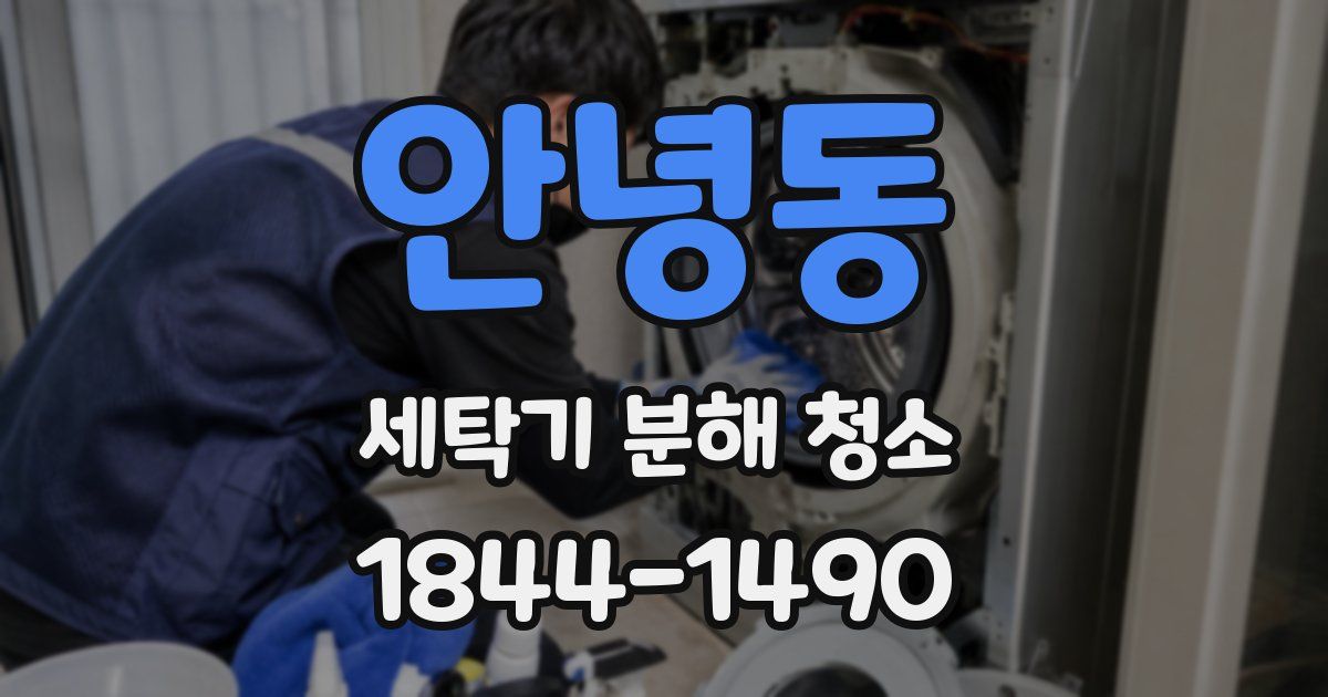 안녕동 세탁기 분해 청소