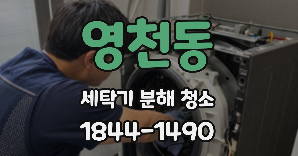 영천동 세탁기 분해 청소