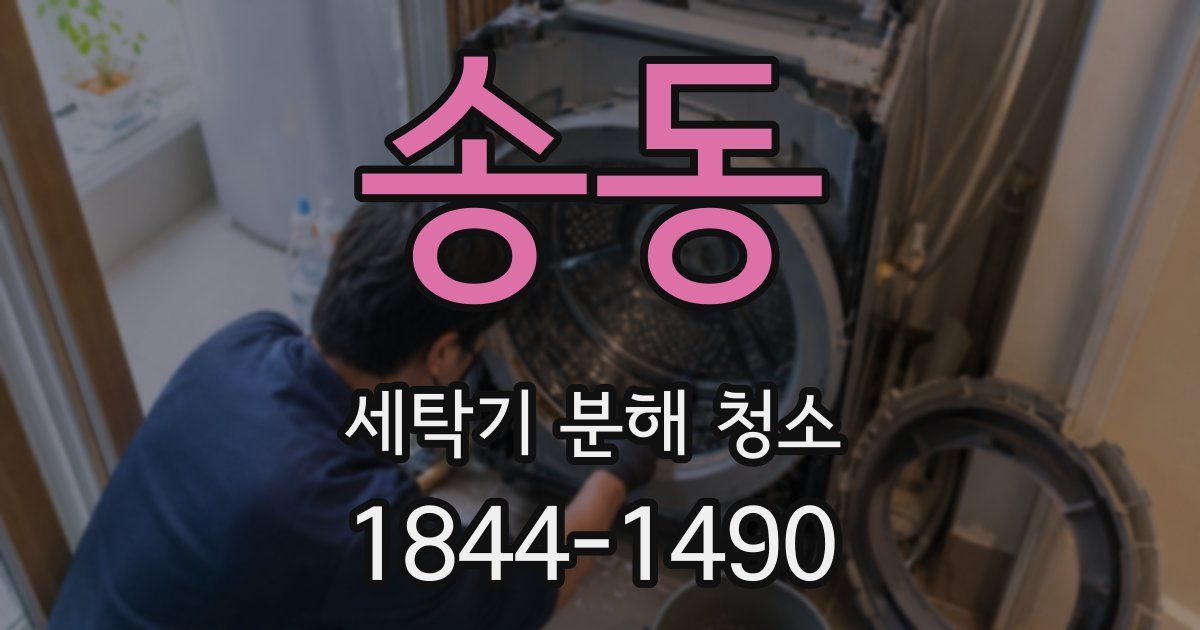 송동 세탁기 분해 청소