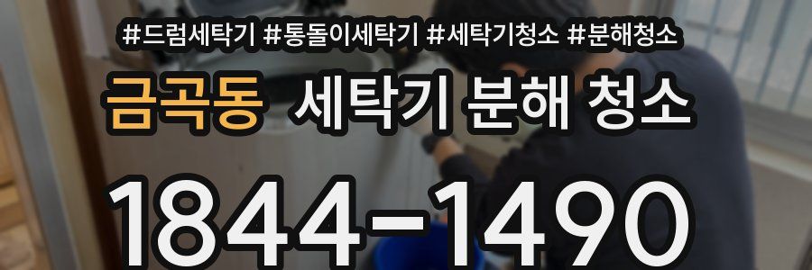 금곡동 세탁기 분해 청소
