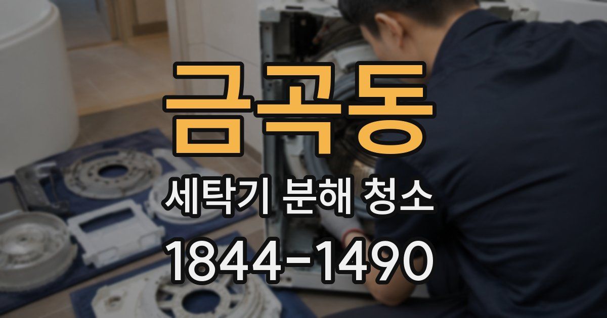 금곡동 세탁기 분해 청소