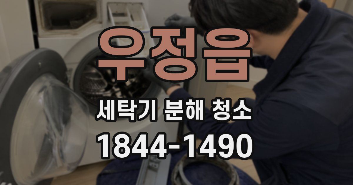 우정읍 세탁기 분해 청소