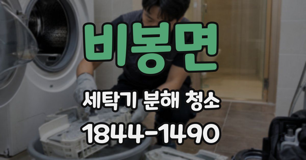 비봉면 세탁기 분해 청소