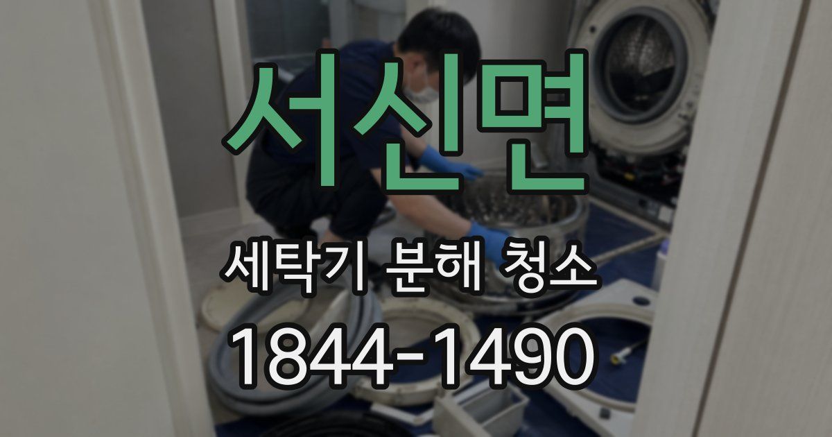 서신면 세탁기 분해 청소