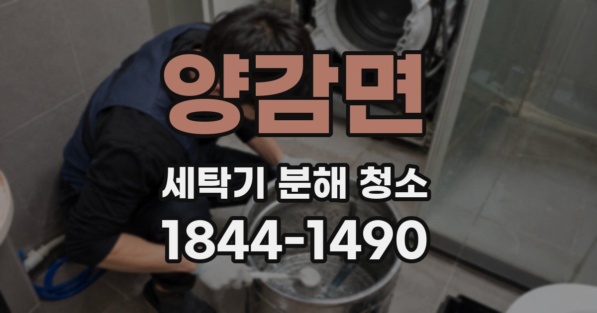 양감면 세탁기 분해 청소