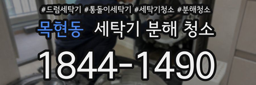 목현동 세탁기 분해 청소
