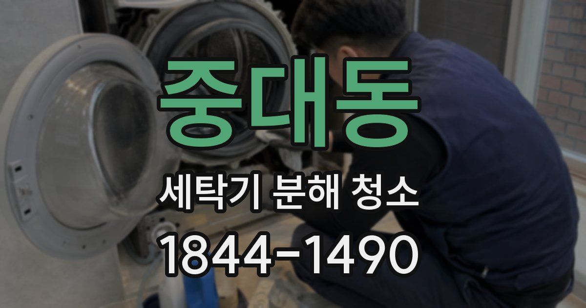 중대동 세탁기 분해 청소