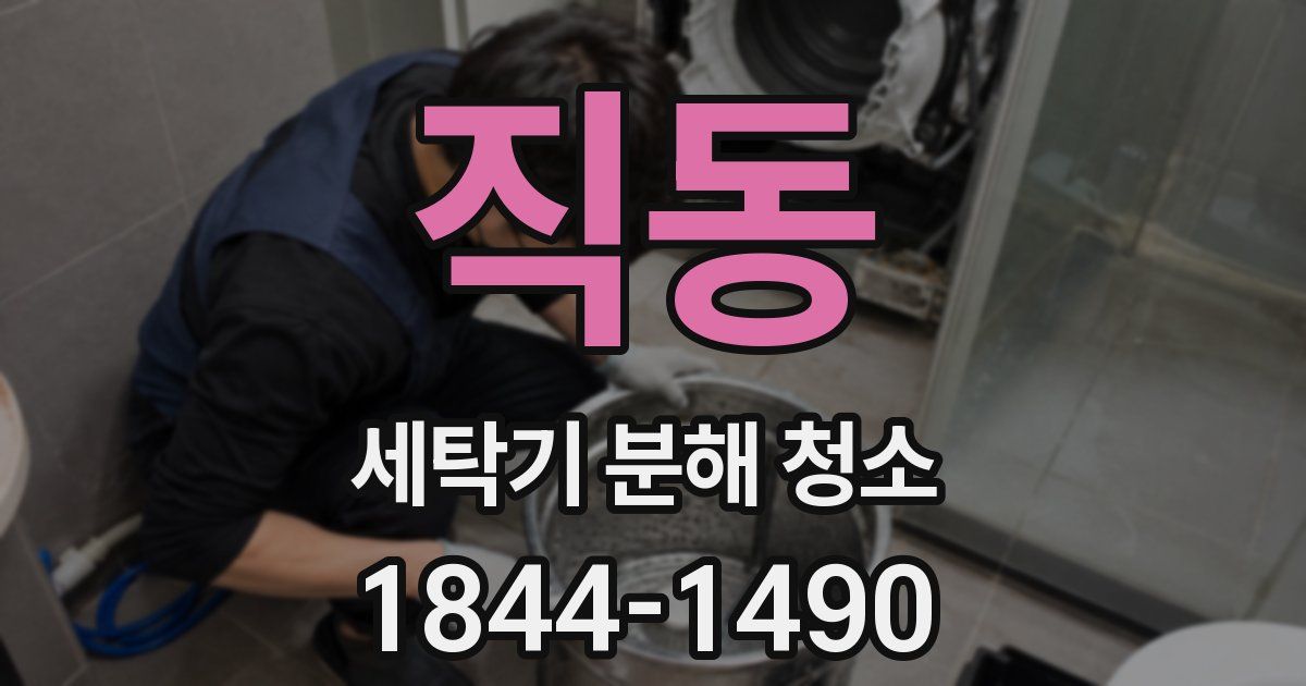 직동 세탁기 분해 청소