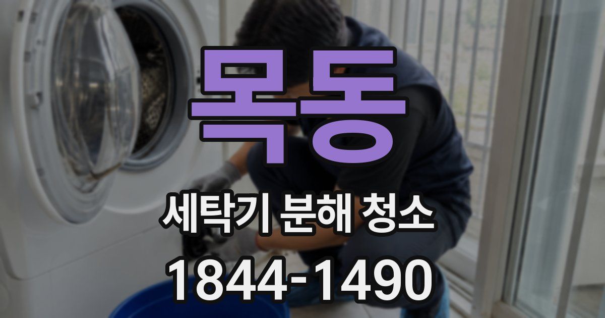 목동 세탁기 분해 청소