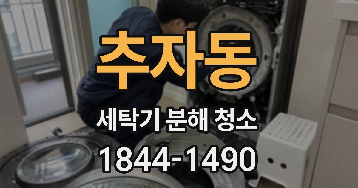 추자동 세탁기 분해 청소
