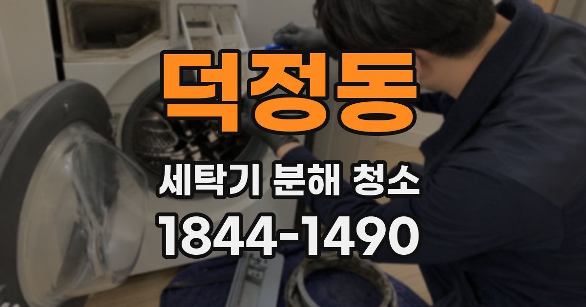 덕정동 세탁기 분해 청소