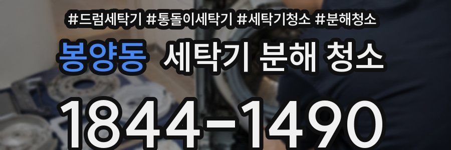 봉양동 세탁기 분해 청소