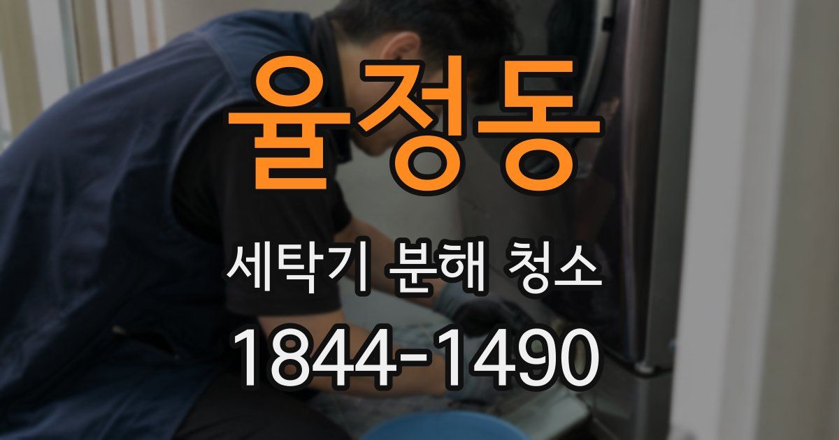 율정동 세탁기 분해 청소