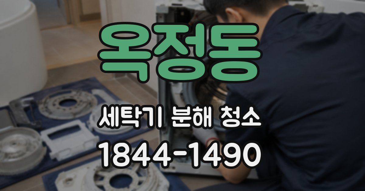 옥정동 세탁기 분해 청소
