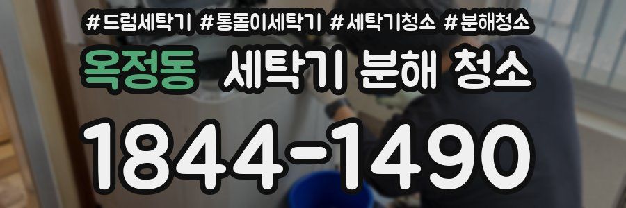 옥정동 세탁기 분해 청소