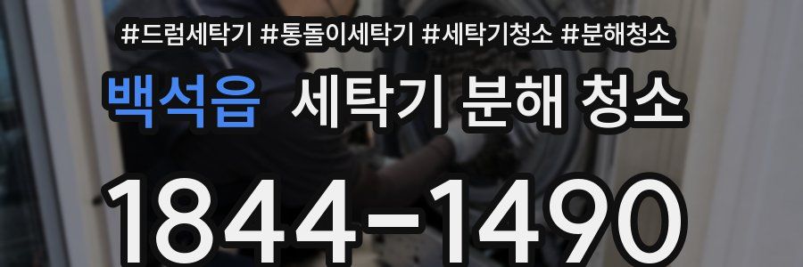 백석읍 세탁기 분해 청소