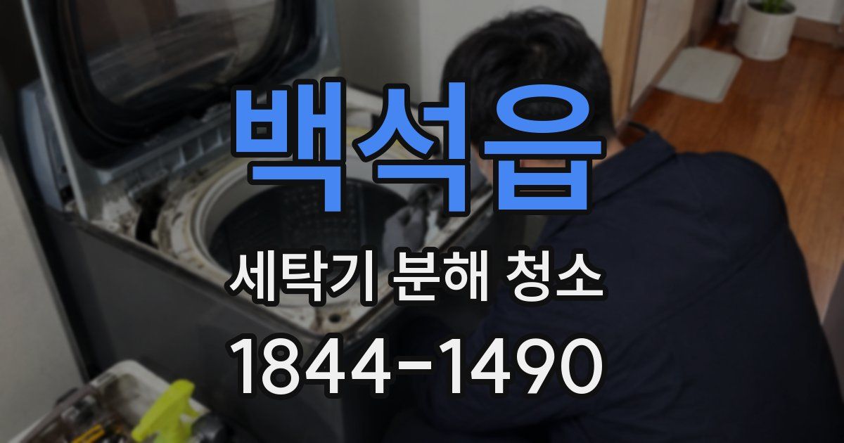 백석읍 세탁기 분해 청소