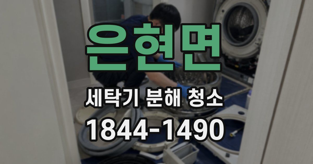 은현면 세탁기 분해 청소